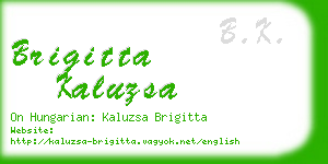 brigitta kaluzsa business card